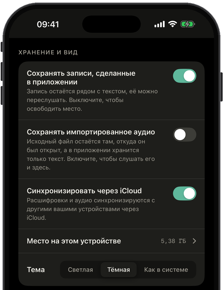 Настройки Slovo: речевая модель, таймкоды, язык речи, хранение аудио или только текст, синхронизация через iCloud